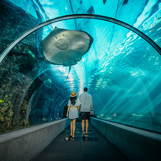 Events & Attractions